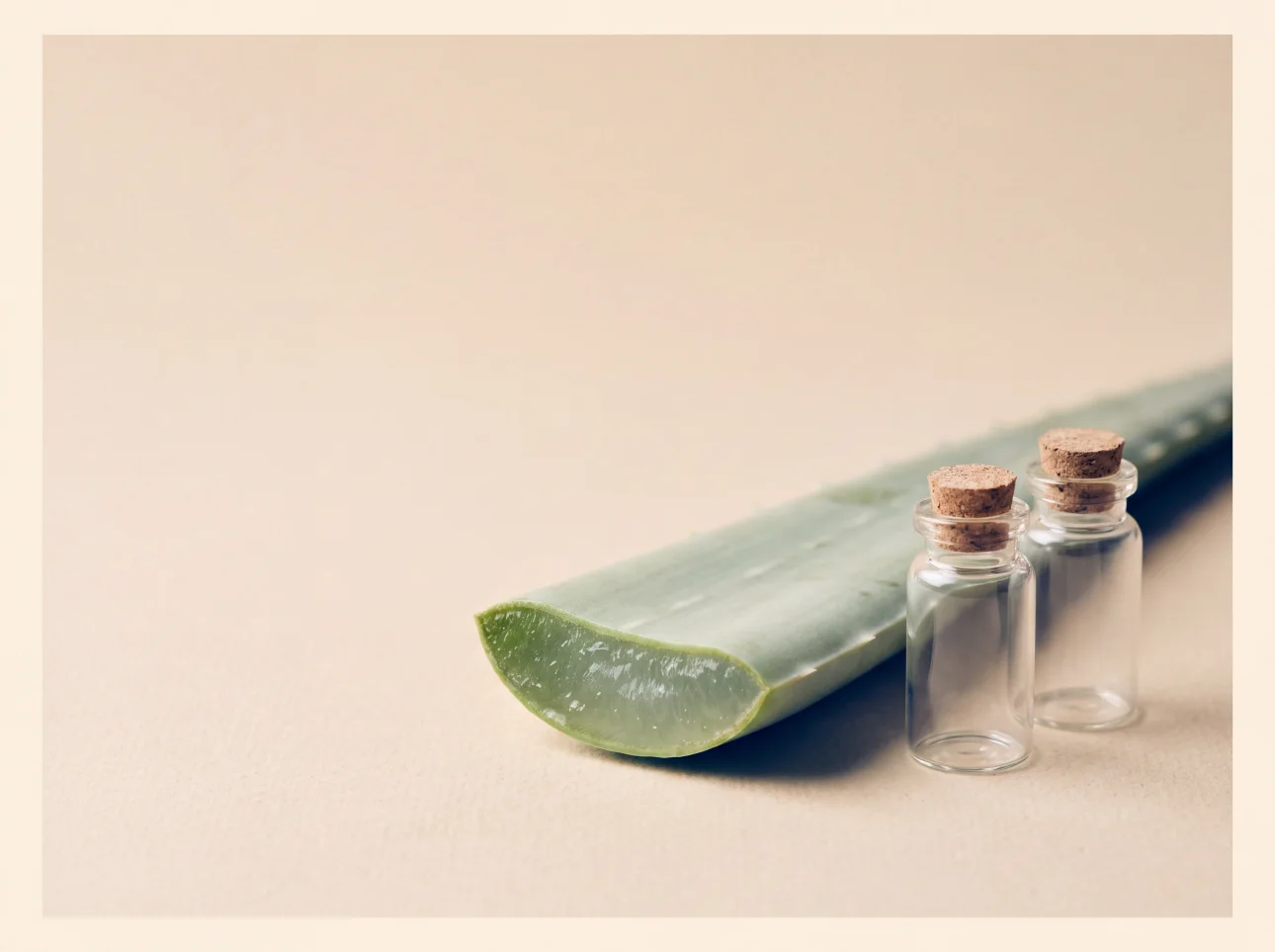 A cut aloe vera leaf showing its inner-leaf gel, beside two small unlabelled glass vials
